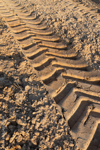 A large tire track imprinted in dry, cracked soil, likely from heavy machinery, indicating recent activity in a rural or construction area.