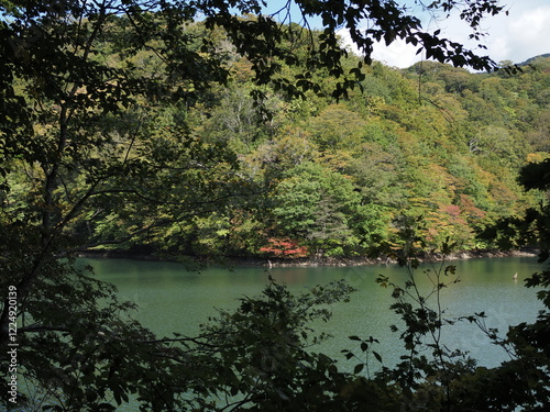 白神山地