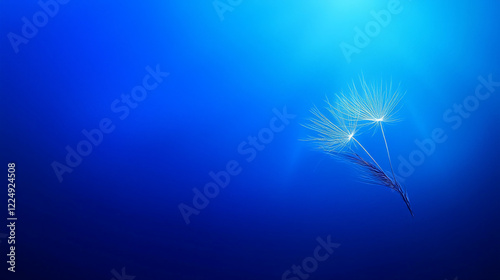 Ethereal underwater scene showcasing delicate sea flora drifting gracefully in serene blue depths photo