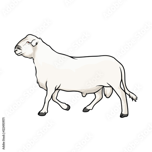 a mighty ram for illustration and logo with separate white background