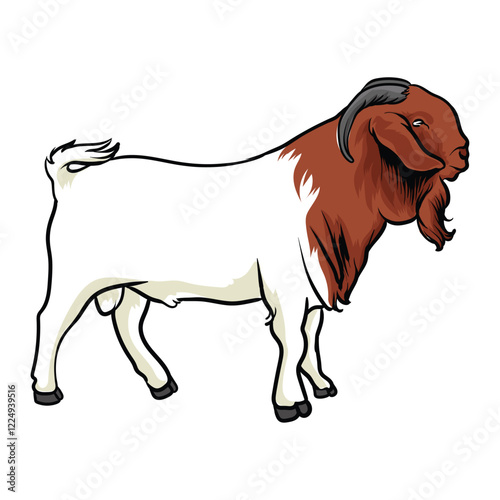 A handsome male boer for illustration and logo with a separate white background