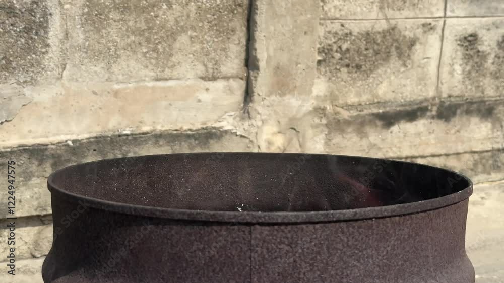 Rustic Metal Planter: A close-up of a weathered, round metal planter, showcasing the rustic beauty of its oxidized surface and the natural patina of time.
