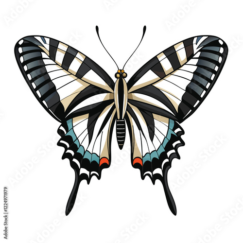 Zebra swallowtail butterfly   isolated on White background
