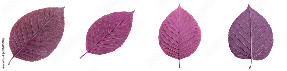 Obraz premium Vibrant Purple Foliage Leaves Closeup Macro Nature Texture Design Lush rich and chromatic autumn botanical background with detailed leaf patterns and vibrant hues of plum mulberry and fuchsia