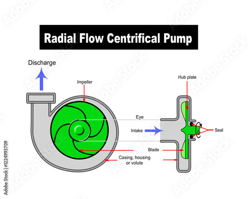 A labelled graphic of a radial flow centrifugal pump with some 3D components was rendered for clarity, isolated on a white background.