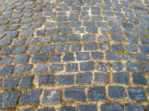 Obraz na płótnie Closeup of cobblestones in the slightly spherical pavement of an old Dutch country road in the province of North Brabant. w salonie