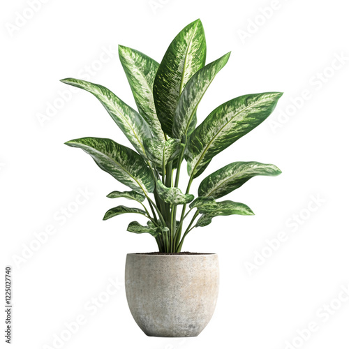 Large green plant is in a white ceramic pot