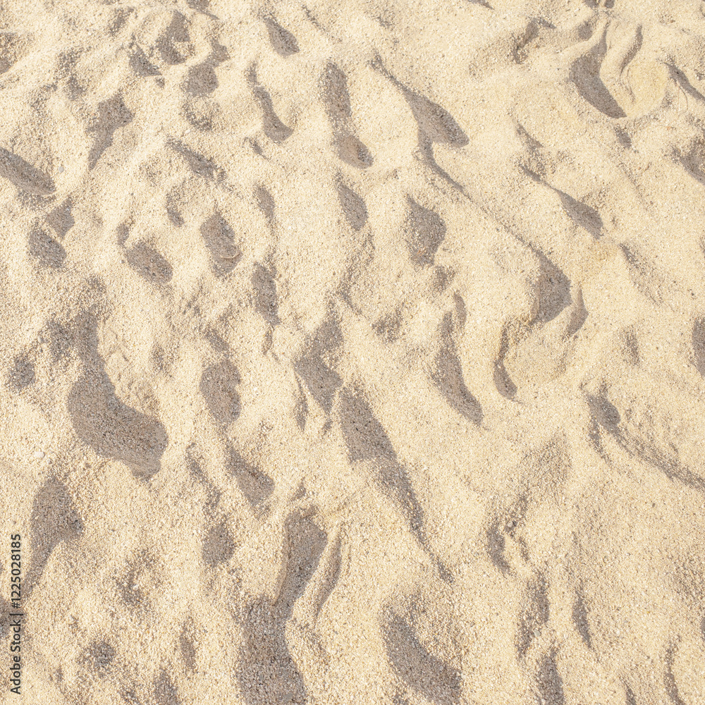 Summer beach sand background with natural wave pattern. Sand texture. Sunny gold sandy beach wallpaper Summer beach sand background with natural wave pattern. Sand texture. Sunny gold sandy beach wallpaper
