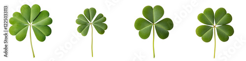 Closeup of fresh vibrant green clover leaves forming a lucky four leaf pattern  The natural organic foliage symbolizes abundance prosperity and the spirit of St  Patrick s Day