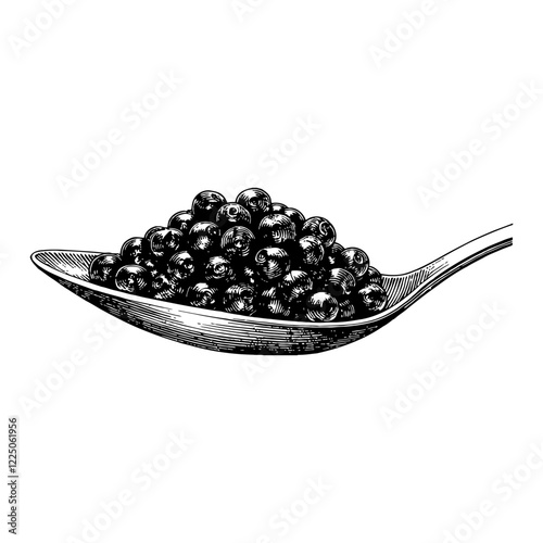 Caviar on Spoon Detailed Black and White Outline Line Art Drawing Viewed from Side