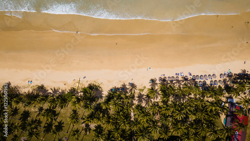 A mesmerizing aerial perspective reveals palm shadows splayed across golden sands, invoking feelings of tropical escape and serene relaxation amid a lush setting.