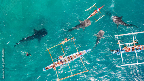 Tableau sur toile Tourists enjoy an exhilarating experience paddling in close proximity to gentle whale sharks in clear blue waters, combining adventure with marine wonder