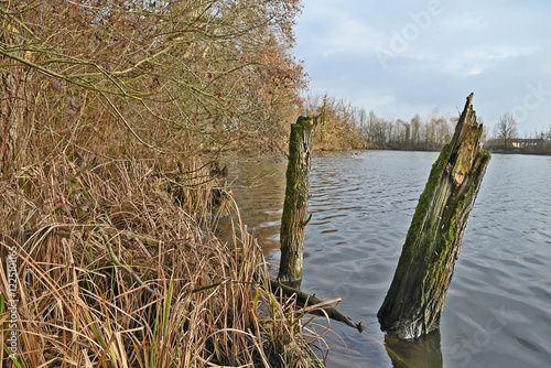 Inverno in Lombardia, campagna, giardini e bosco del lago di Basiglio photo