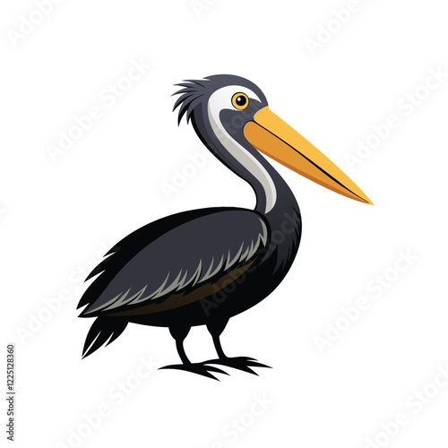 pelican in colour vector white backgound.eps