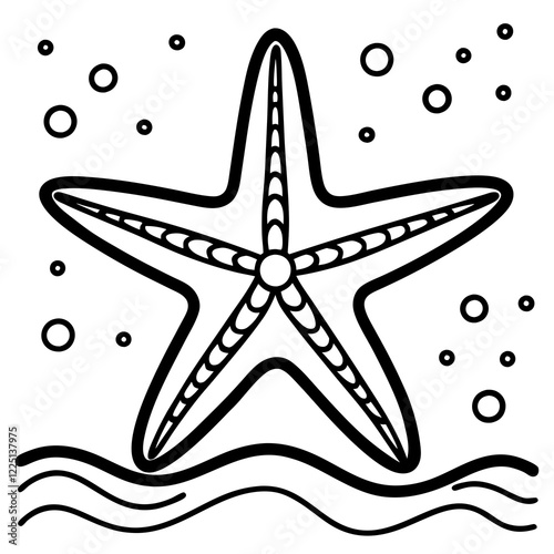 sea star vector