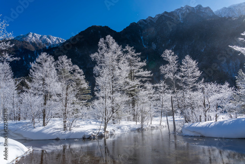 Wallpaper Mural 冬の上高地スノーハイク 田代池朝日にキラキラ輝く霧氷 Torontodigital.ca