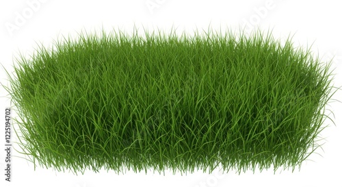 Green Grass Clump Isolated on White Background
