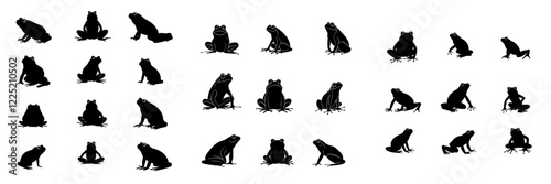 Modern amphibian silhouette on a white background