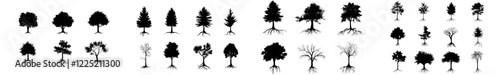 Silhouette trees with roots. Beautiful fir, pine, and deciduous trees. Modern illustration
