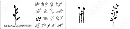 Decorative herb line drawing collection. Beauty flora concept. Elegant bio symbol modern illustration