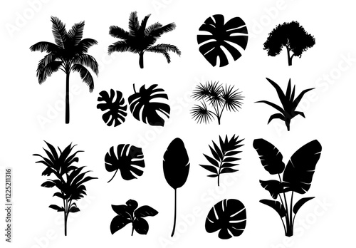 Black and white isolated illustrations featuring palm and tropical trees