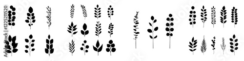 Eucalyptus or willow black leaf and twig silhouette illustration set, hand-drawn modern design elements