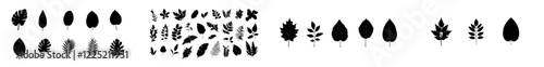 silhouette leaves against an autumn background, isolated modern design elements