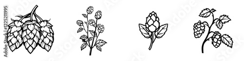 Hand-drawn modern sketch of a hop plant featuring leaves and buds, used as craft beer ingredients, black and white illustration of a humulus lupulus branch, inked and isolated on a white background