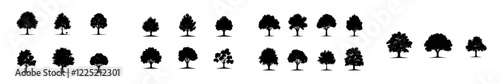Bodhi Tree silhouette modern art illustration bundle set