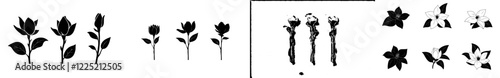 Magnolia flowers. Black silhouettes of magnolia flowers on a white background. Set of modern illustrations