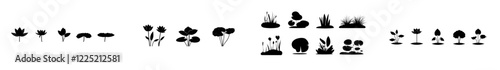 A collection of water lilies, with silhouettes of plant buds and foliage