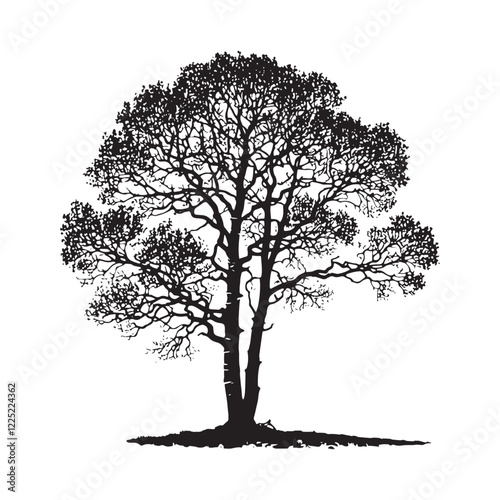 Artistic Aspen Tree silhouette for creative visual designs - aspen tree silhouette - aspen tree vector - aspen tree illustration - Aspen silhouette - Aspen vector
