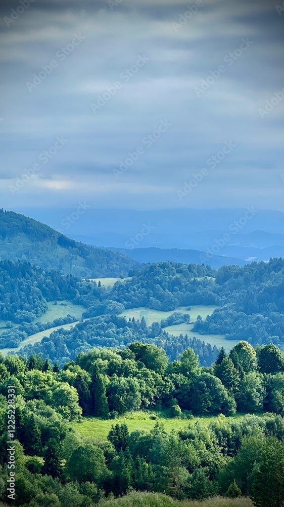 Obraz premium Vertical photo of the view from Mount Palenica to the mountains in Slovakia. Highlights hiking, outdoor activities, and travel in Pieniny National Park, Poland.