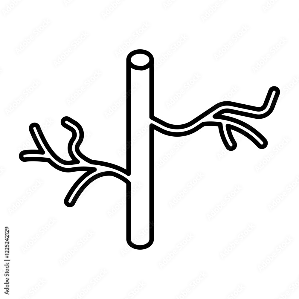 Fototapeta premium human artery icon Flat vector set outline