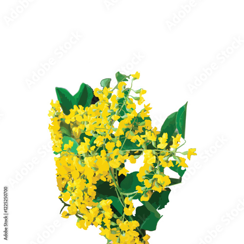 beautiful yellow flower vector of the padauk flower and Myanmar national flower.Vector illustration, For Myanmar water festival (Thingyan).