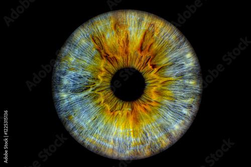 Billede på lærred Close up of eye iris on black background, macro, photography