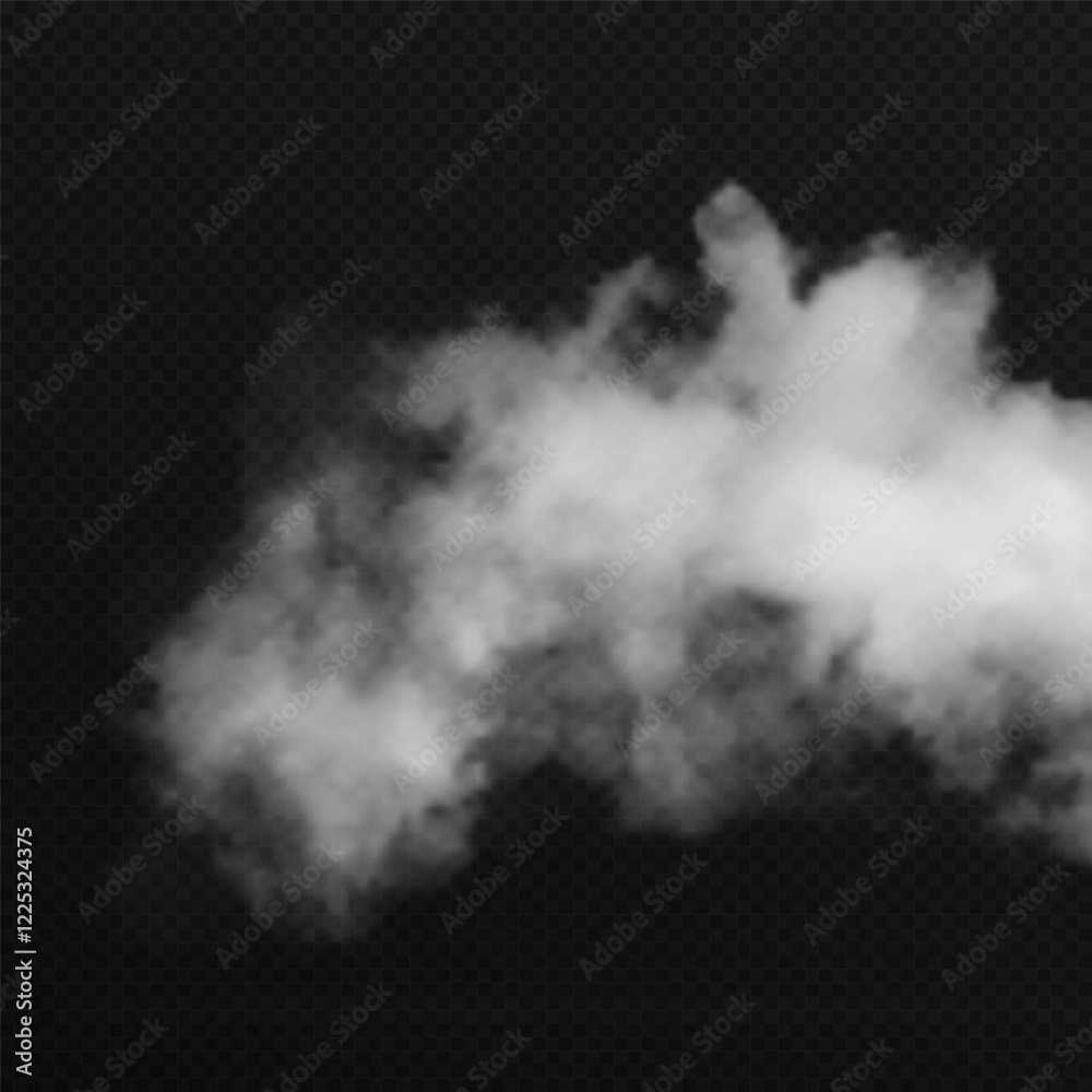 Fototapeta premium Vector realistic cloud, smoke or fog on isolated transparent background. Cloud png. Smoke png