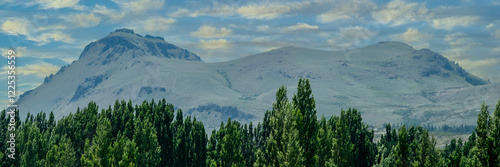 Forest and andes mountains landscape, nahuel haupi park, argentina photo