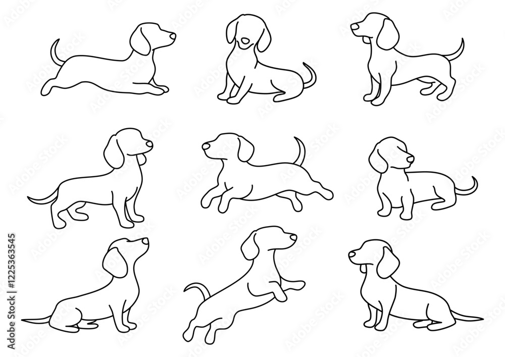 A set of dachshunds. Dog silhouettes. Outline. Line art.