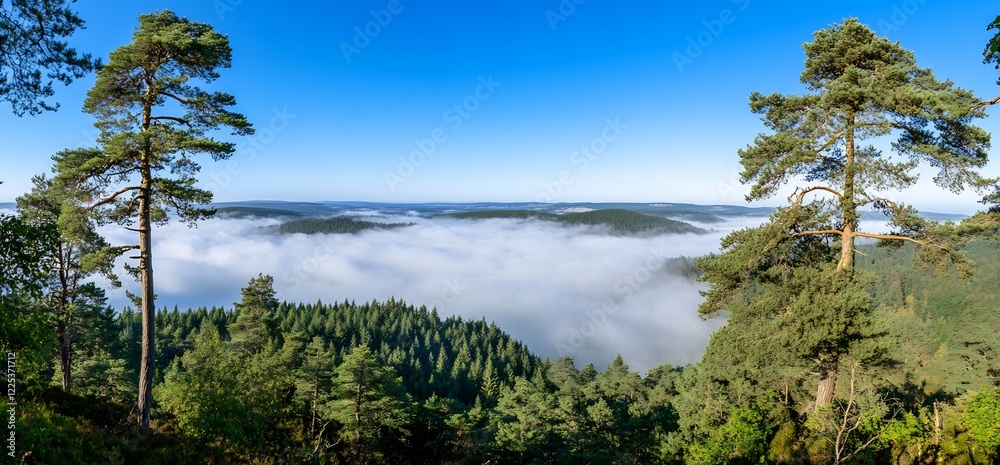Misty mountain forest panorama, scenic view Misty mountain forest panorama, scenic view