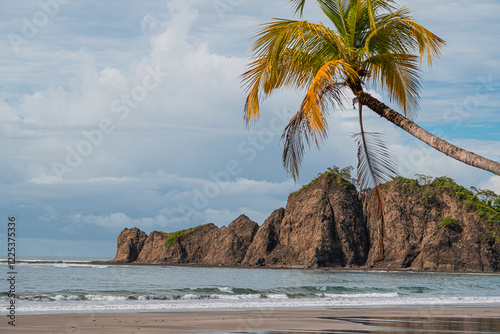 Fototapeta Naklejka Na Ścianę i Meble -  beach with palm trees