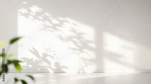 Minimalistic light background with blurred foliage shadow on white wall