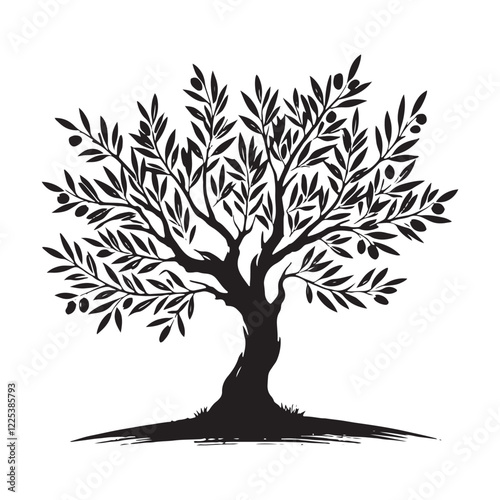 Silhouette of an Olive Tree with beautifully shaped branches - Olive tree silhouette - Olive tree vector - Olive tree illustration - Olive silhouette - Olive vector
