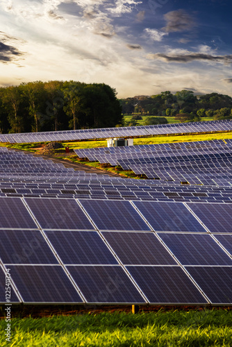 Solar farm in Brazil. Solar power for green energy. Sustainable renewable energy. Photovoltaic power station or solar park. Solar panel installation and maintenance concept. Energy sustainability.