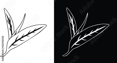 Hand-Drawn Tea Leaves Design with Black and White Background Variants