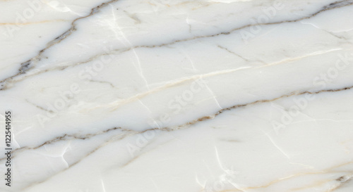White Marble Texture Veins