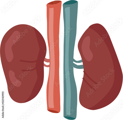 kidney icon