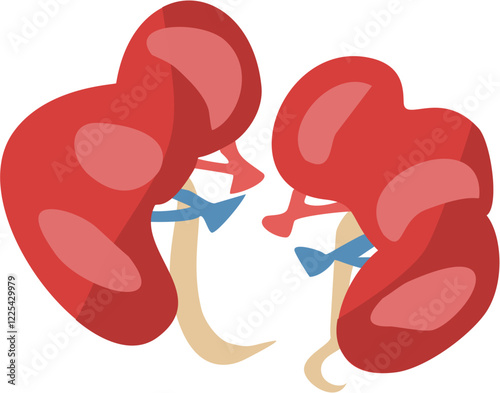 kidney icon