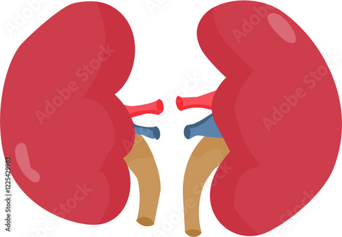 kidney icon