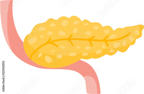 pancreas icon